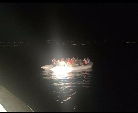 İ­z­m­i­r­­d­e­ ­7­4­ ­s­ı­ğ­ı­n­m­a­c­ı­ ­k­u­r­t­a­r­ı­l­d­ı­
